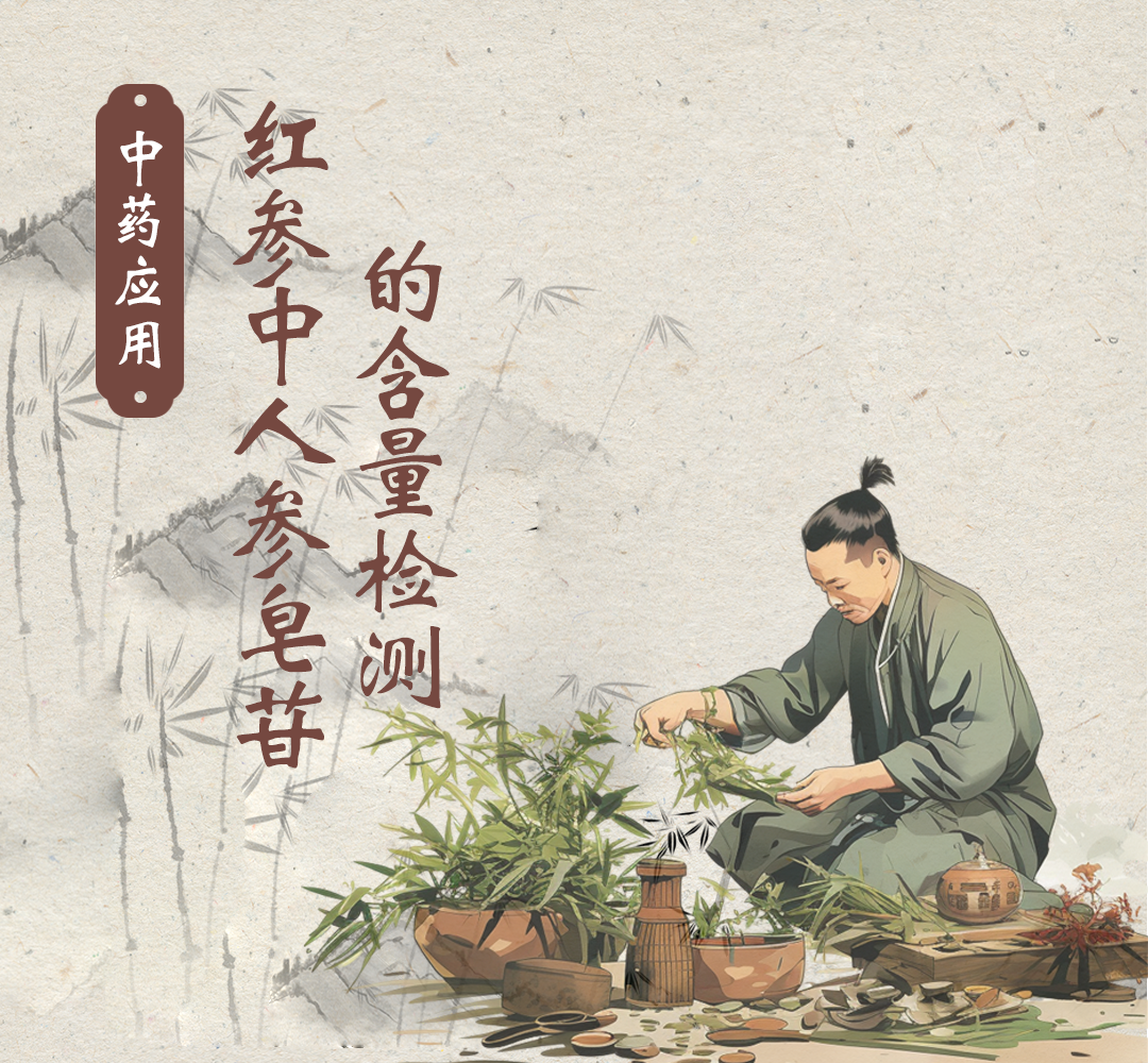 中药应用：红参中人参皂苷的含量检测